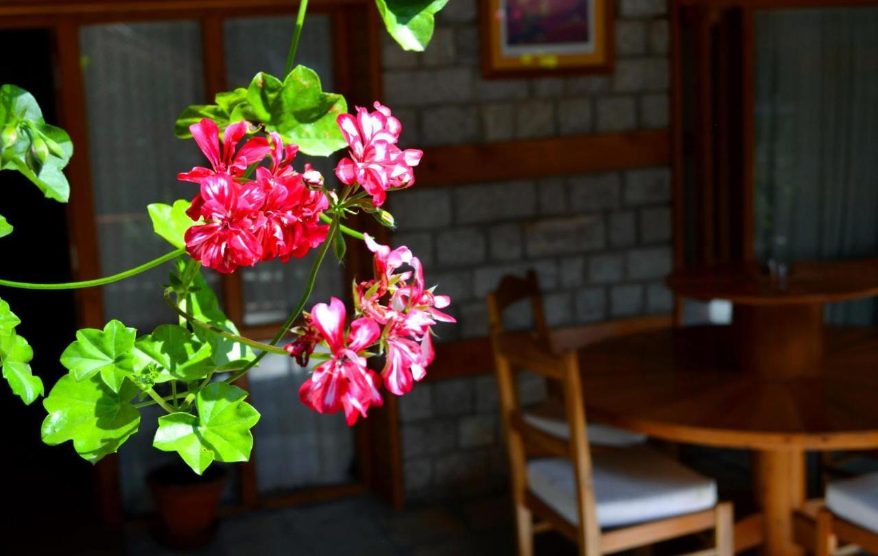 Holiday Home International -Vivaan Stays Манали Экстерьер фото